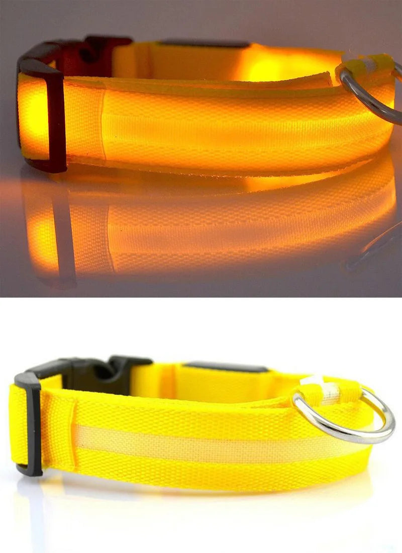 Collar LED YUDODO de Nylon para Perros y Gatos | Collar Luminoso Fluorescente de Seguridad Nocturna con Luz Intermitente