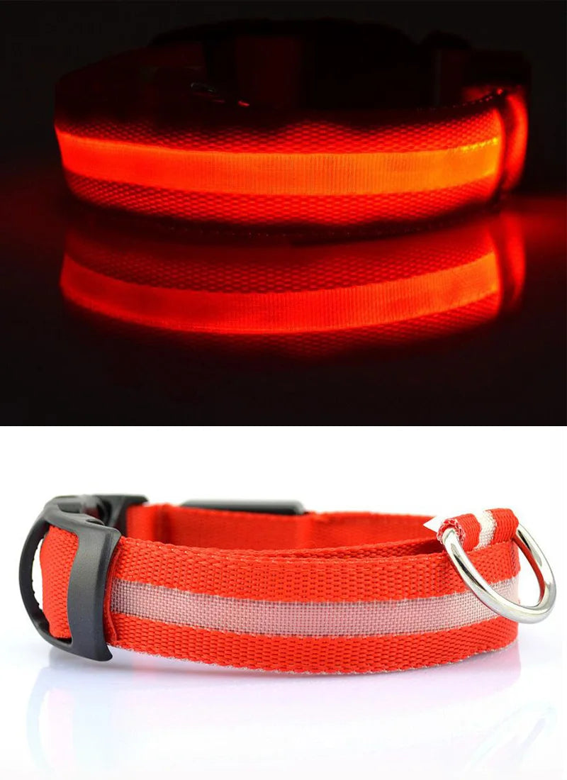 Collar LED YUDODO de Nylon para Perros y Gatos | Collar Luminoso Fluorescente de Seguridad Nocturna con Luz Intermitente