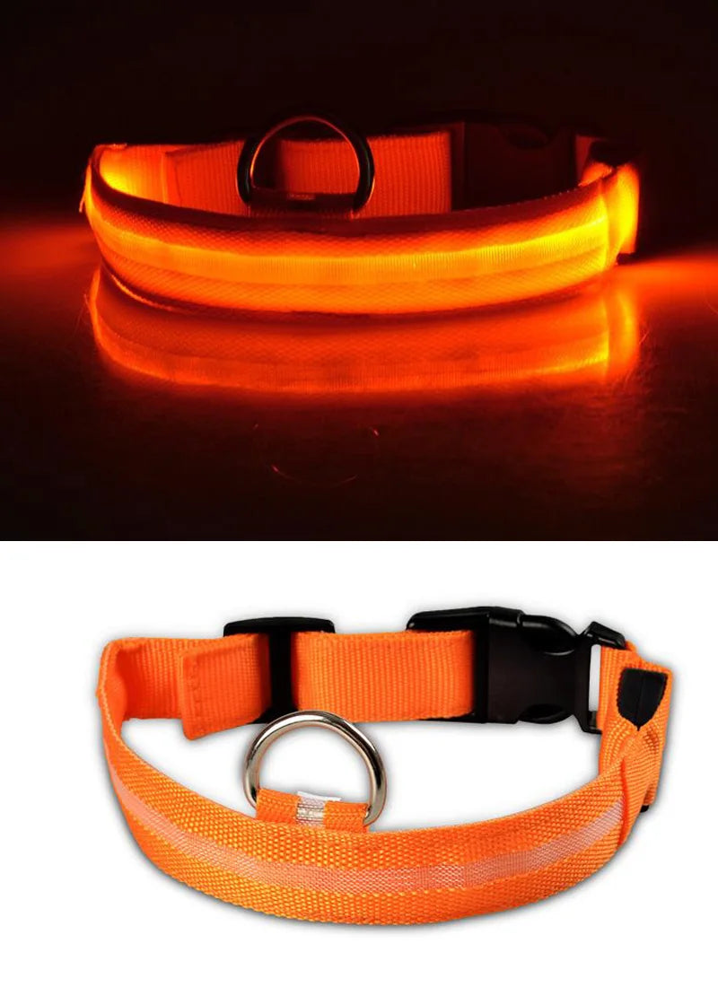 Collar LED YUDODO de Nylon para Perros y Gatos | Collar Luminoso Fluorescente de Seguridad Nocturna con Luz Intermitente