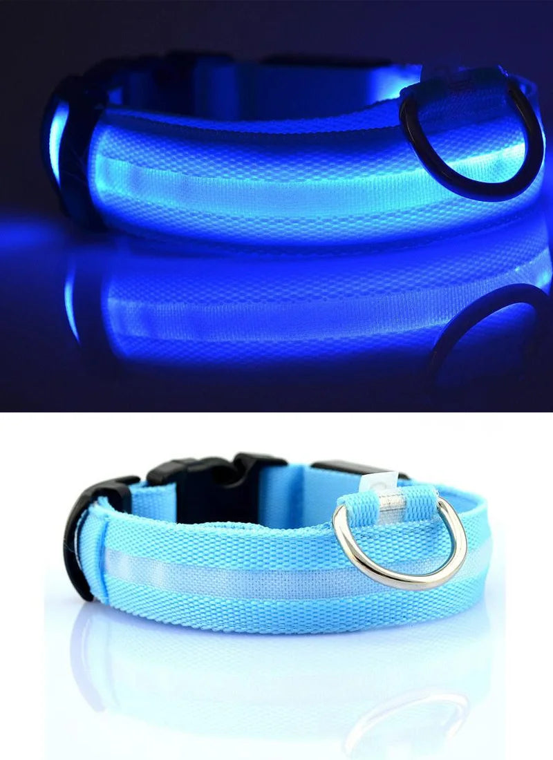 Collar LED YUDODO de Nylon para Perros y Gatos | Collar Luminoso Fluorescente de Seguridad Nocturna con Luz Intermitente