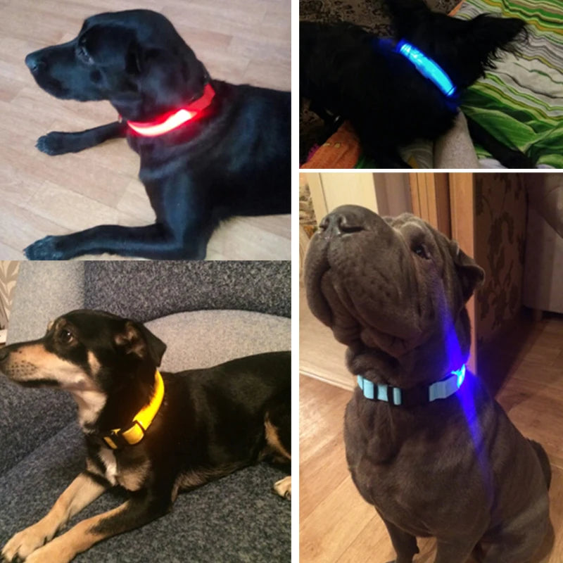 Collar LED YUDODO de Nylon para Perros y Gatos | Collar Luminoso Fluorescente de Seguridad Nocturna con Luz Intermitente