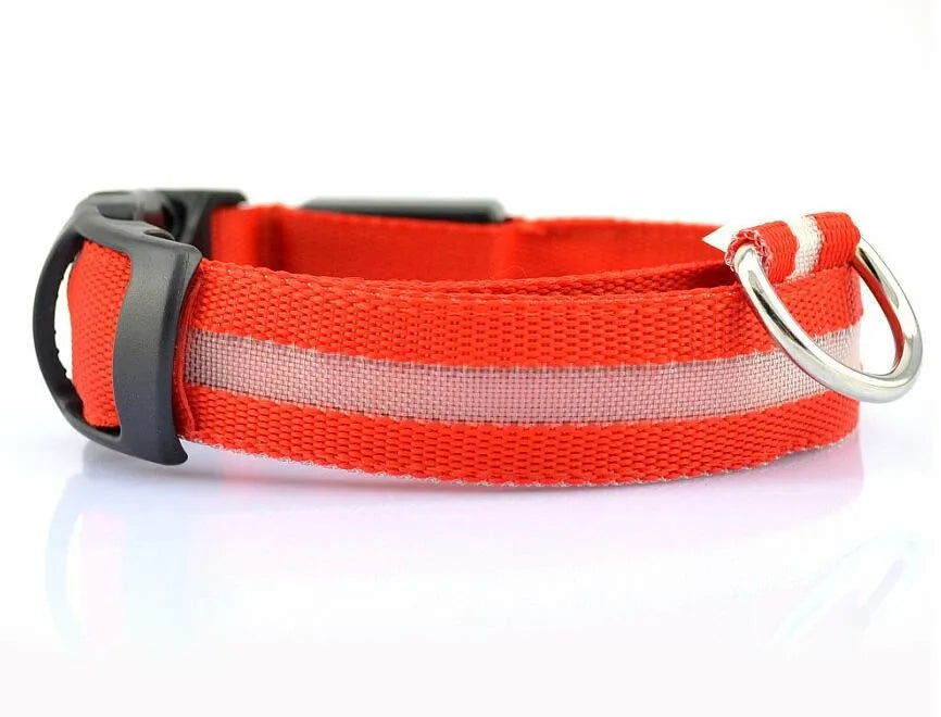 Collar LED YUDODO de Nylon para Perros y Gatos | Collar Luminoso Fluorescente de Seguridad Nocturna con Luz Intermitente