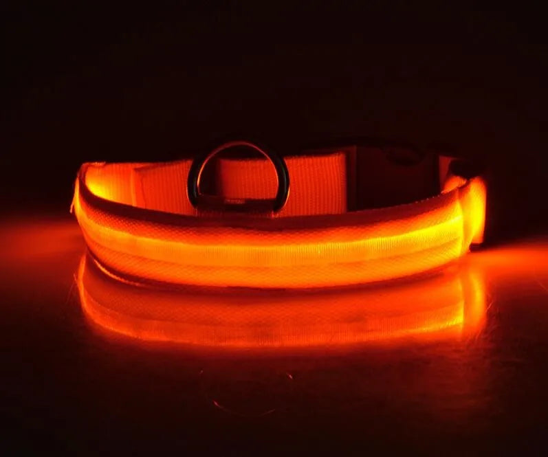 Collar LED YUDODO de Nylon para Perros y Gatos | Collar Luminoso Fluorescente de Seguridad Nocturna con Luz Intermitente