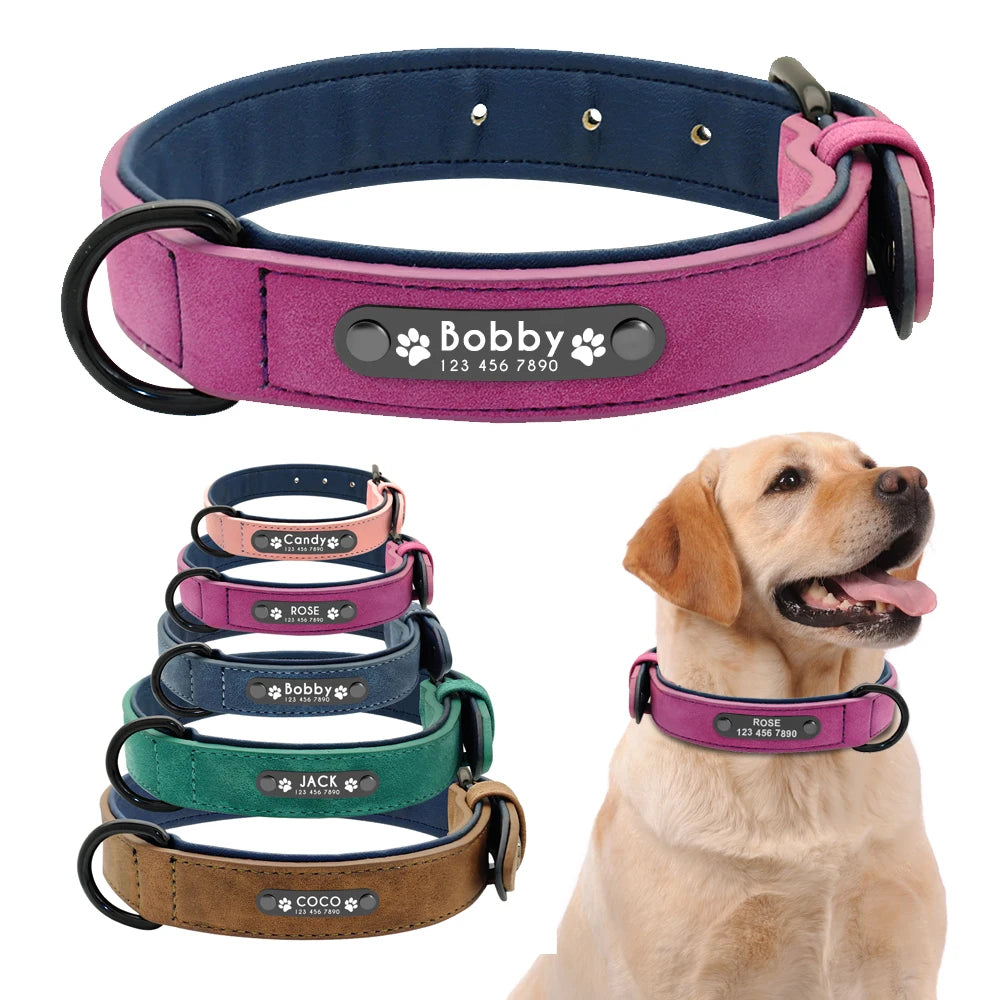 Collar Personalizado de Cuero para Perros | Collar con ID Acolchado Interior Grabado con Nombre - Pitbull, Bulldog