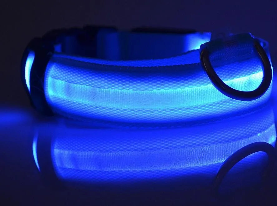 Collar LED YUDODO de Nylon para Perros y Gatos | Collar Luminoso Fluorescente de Seguridad Nocturna con Luz Intermitente