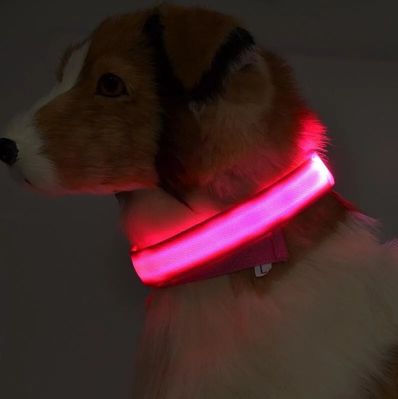 Collar LED YUDODO de Nylon para Perros y Gatos | Collar Luminoso Fluorescente de Seguridad Nocturna con Luz Intermitente