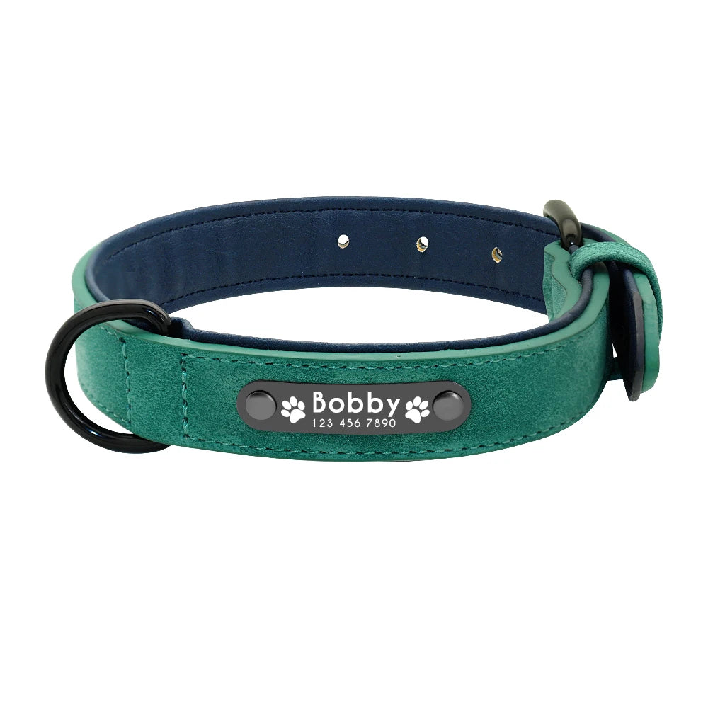 Collar Personalizado de Cuero para Perros | Collar con ID Acolchado Interior Grabado con Nombre - Pitbull, Bulldog