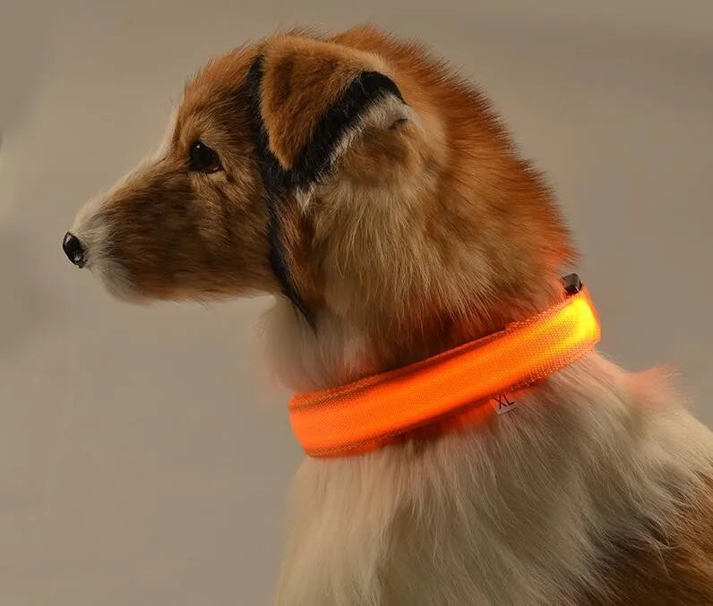 Collar LED YUDODO de Nylon para Perros y Gatos | Collar Luminoso Fluorescente de Seguridad Nocturna con Luz Intermitente