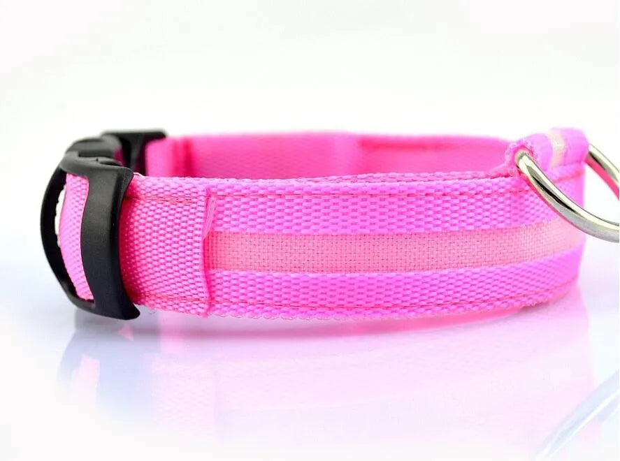 Collar LED YUDODO de Nylon para Perros y Gatos | Collar Luminoso Fluorescente de Seguridad Nocturna con Luz Intermitente