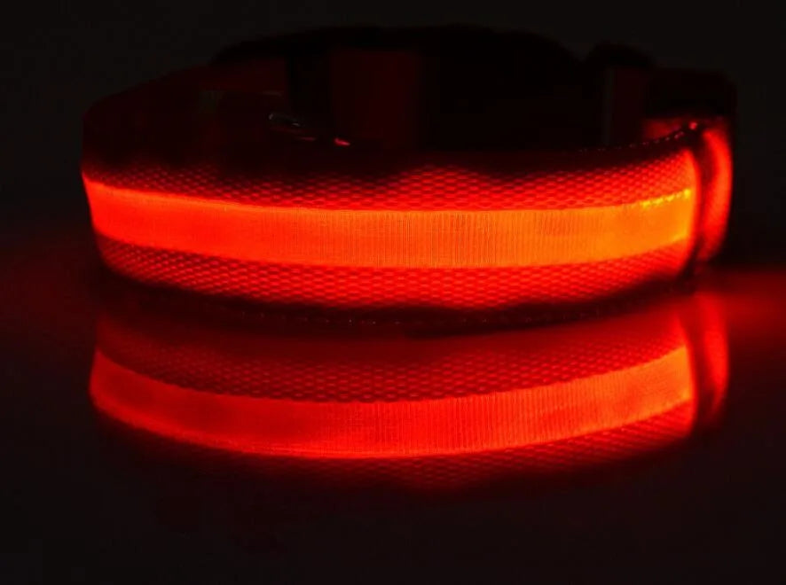 Collar LED YUDODO de Nylon para Perros y Gatos | Collar Luminoso Fluorescente de Seguridad Nocturna con Luz Intermitente