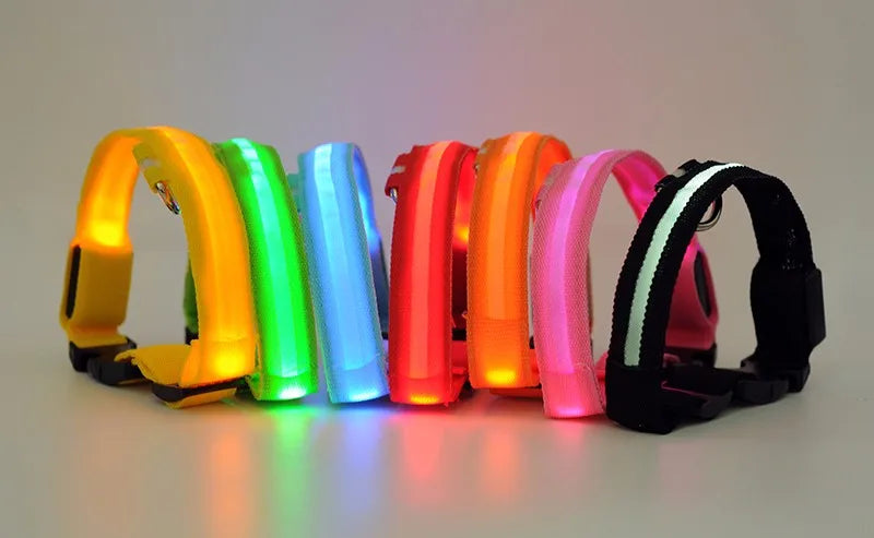 Collar LED YUDODO de Nylon para Perros y Gatos | Collar Luminoso Fluorescente de Seguridad Nocturna con Luz Intermitente