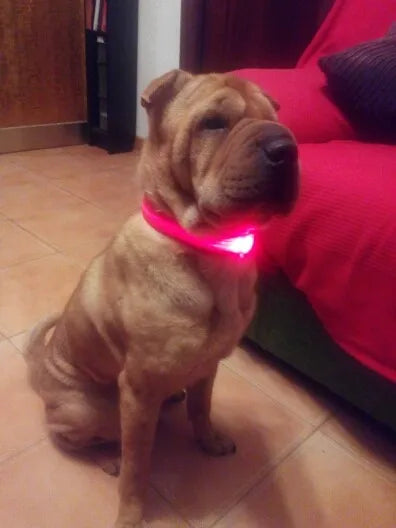Collar LED YUDODO de Nylon para Perros y Gatos | Collar Luminoso Fluorescente de Seguridad Nocturna con Luz Intermitente