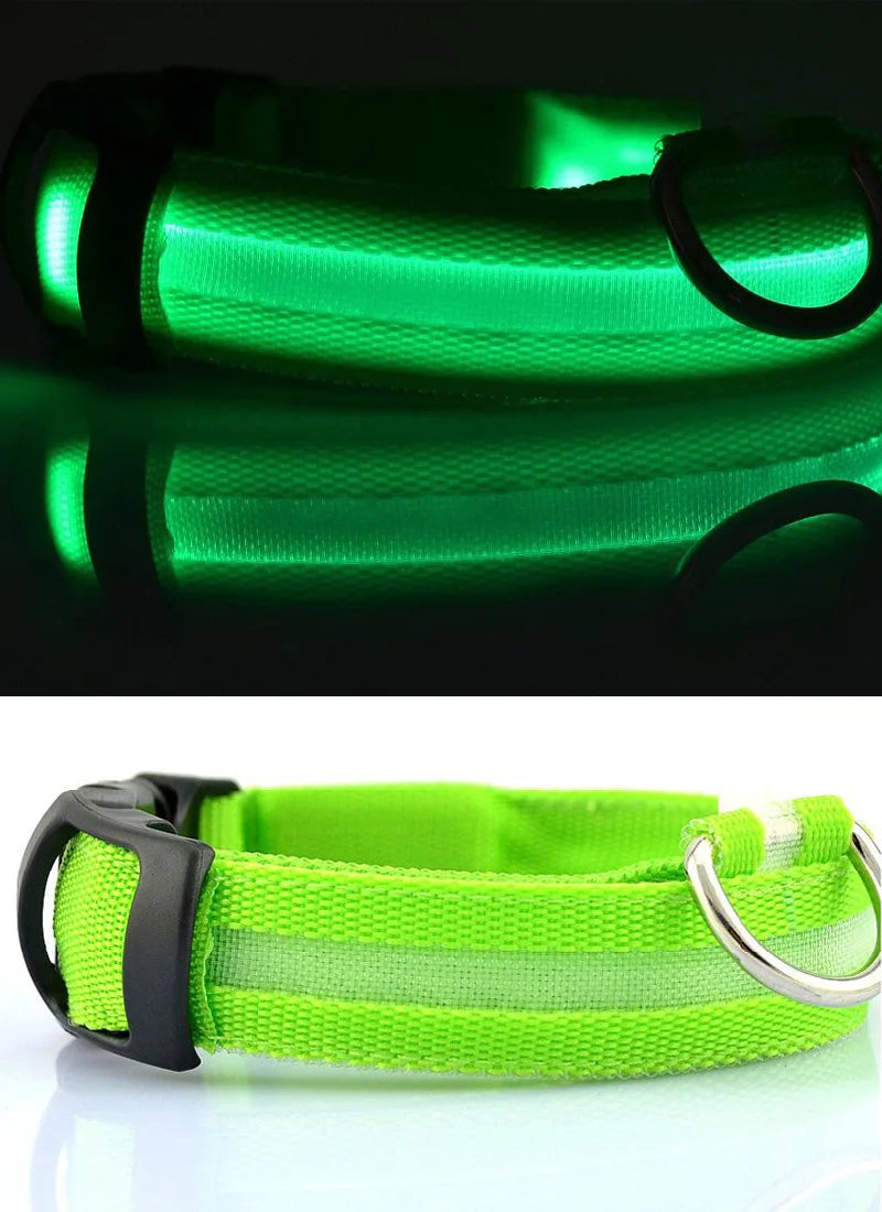 Collar LED YUDODO de Nylon para Perros y Gatos | Collar Luminoso Fluorescente de Seguridad Nocturna con Luz Intermitente