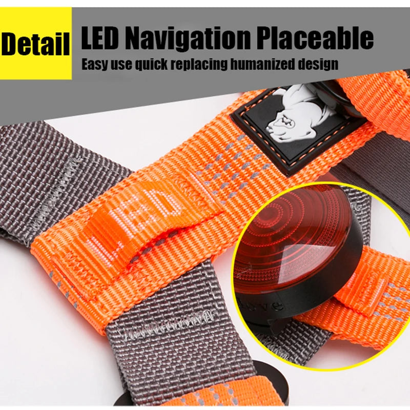 Arnés Truelove Reflectante de Nylon con Collar y Correa | Luz LED Acolchado Neopreno - Senderismo y Running TLH6171