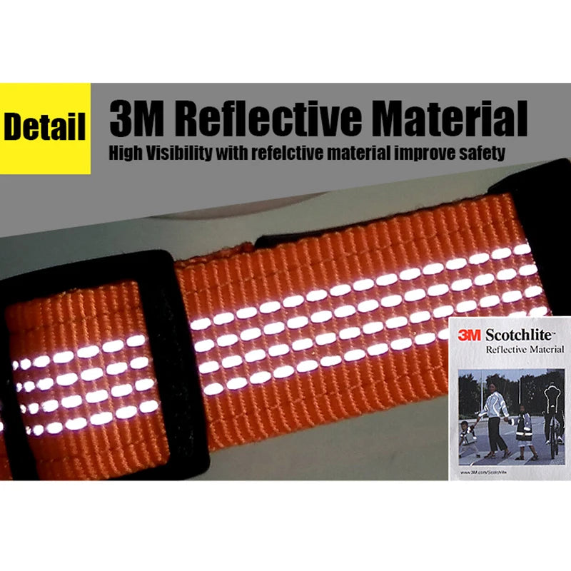 Arnés Truelove Reflectante de Nylon con Collar y Correa | Luz LED Acolchado Neopreno - Senderismo y Running TLH6171