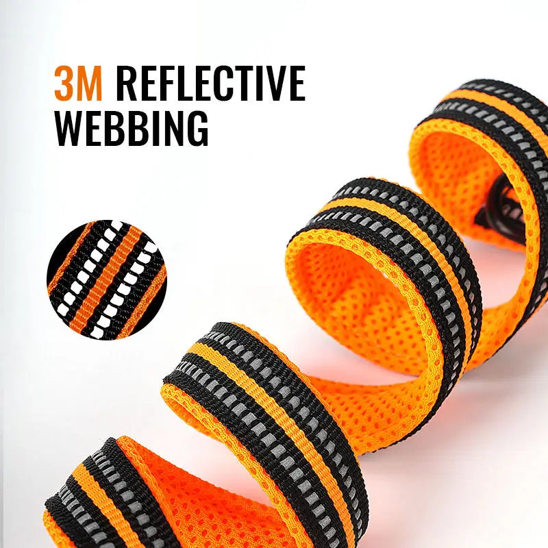 Correa Truelove 7 en 1 Multifunción | Ajustable, Reflectante y Manos Libres – Entrenamiento y Paseo